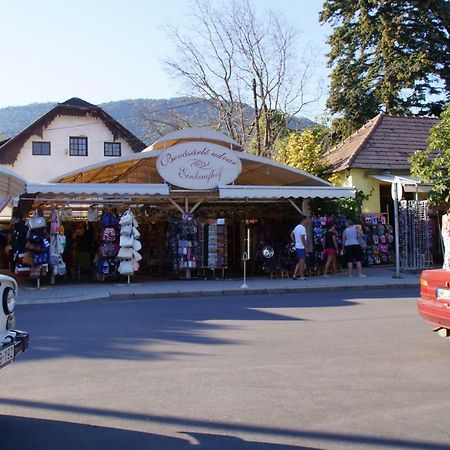 バラトンフェニヴェシュ Bellaヴィラ エクステリア 写真